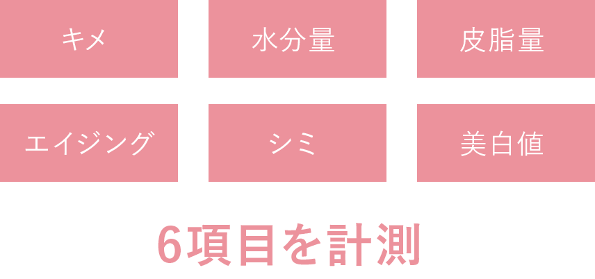 キメ、水分量、皮脂量、エイジング、シミ、美白値　6項目を計測