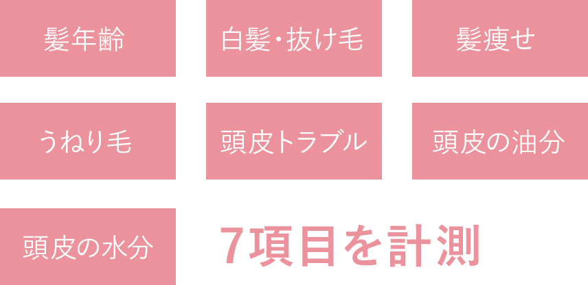 肌年齢、白髪・抜け毛、髪痩せ、うねり毛、頭皮トラブル、頭皮の油分、頭皮の水分　7項目を計測